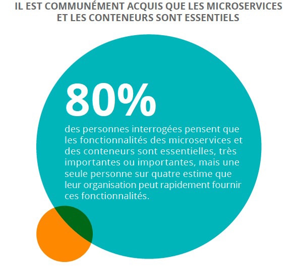 Source: « Enterprise Priorities for Hybrid Cloud Management», Ponemon Institute, June 2018.